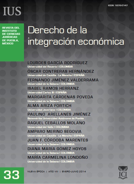 					Ver Vol. 8 Núm. 33 (2014): Derecho de la integración económica
				