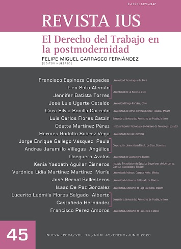 					View Vol. 14 No. 45 (2020): El Derecho del Trabajo en posmodernidad
				